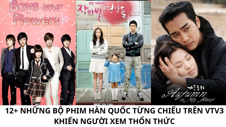 12+ Những bộ phim Hàn Quốc từng chiếu trên VTV3 khiến người xem thổn thức
